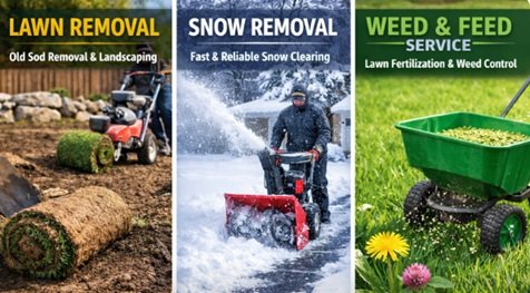 Sod Mississauga: A Fresh Start for Your Lawn